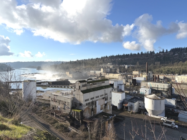 Wide view of the obsolete Blue Heron Paper Mill buildings at Willamette Falls in Oregon City, highlighting industrial decay against the natural river setting.