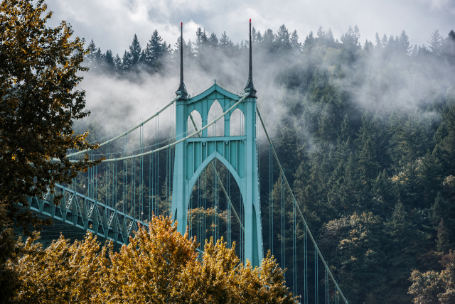 St. Johns Bridge in Portland shrouded in morning fog, with evergreen trees and misty atmosphere—iconic view of North Portland.