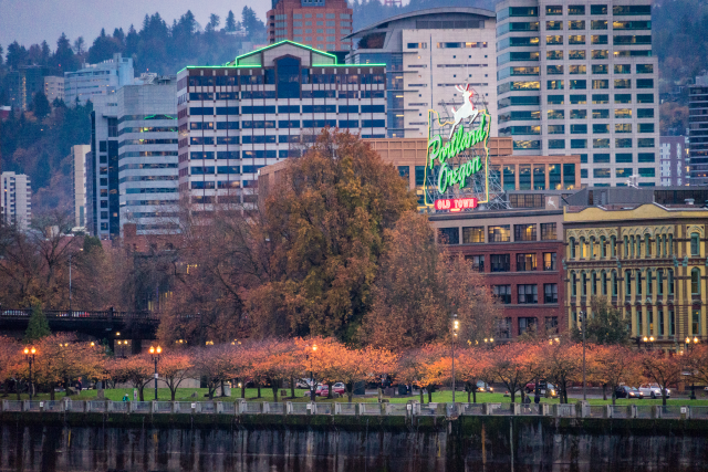 Famous Portland White Stag sign in trees in autumn colors.